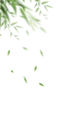 植物png