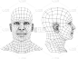 人的头部,三维图形,接线框,线框模型,人的脸部,正面视角,未来,智慧,绘画插图,计算机制图