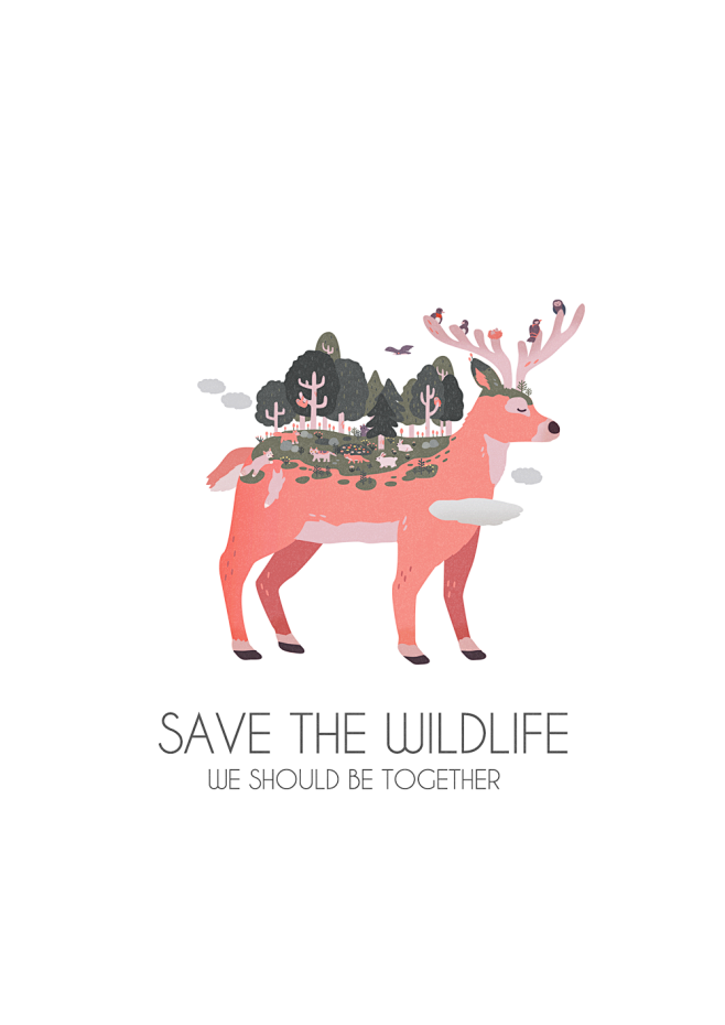 Save the Wildlife : ...