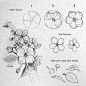 How to draw flowers for beginners? 87