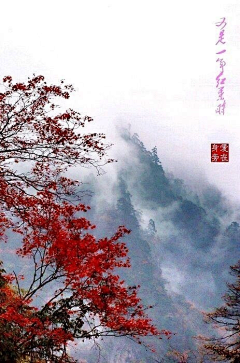 于木嘎达采集到好风景