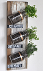 vertical_mason_jar_garden #jars #plants