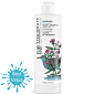 Saponaria No-Tears Wash & Shampoo 15.2 fl.oz. / 450ml : Your favorite Wash and No-Tears Shampoo now in bigger size! Better for you, better for the planet. Highly concentrated with Glucosides & Saponin-rich Organic Soapwort Extract for rich foam an