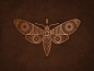 Moth moth geometry alchemy lines dark copper symbolism eye wings