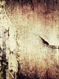 复古墙壁背景 图片素材(编号:20140215084829)-底纹背景-背景花边-图片素材 - 淘图网 taopic.com