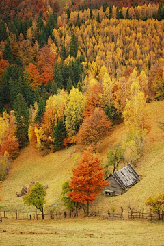 雾里江南采集到景；摄影