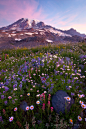 Photograph Fresh Mountain Air by Danny Seidman on 500px