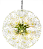 Dandelion Chandelier - Contemporary - Chandeliers - by Canopy Designs