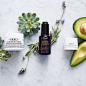 Kiehl's Since 1851 (@kiehls)'s Instagram Profile | Tofo.me · Instagram网页版