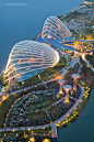 15 Amazing Photos You’ll Never Forget - Gardens by the Bay, Singapore