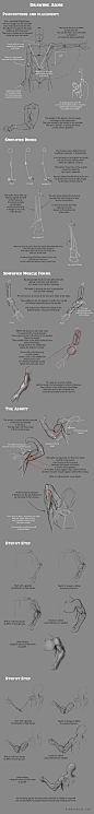 Drawing Arms Tutorial by DianetheKraus on deviantART