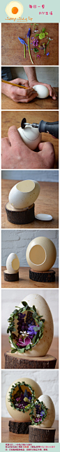 蛋壳的艺术 #旧物利用#