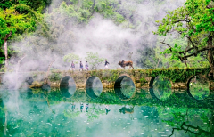 楼惊霄采集到风景参考