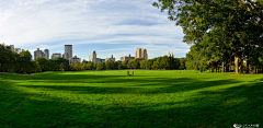 虚胖的二大爷采集到案例——纽约中央公园