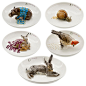 Nymphenburg Animal bowls | artedona.