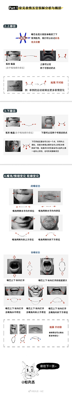 瞎涂的王某某采集到教程