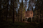 tree hotel by tham & videgard arkitekter 7