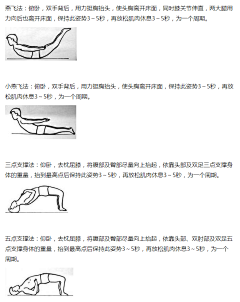 骸天岚采集到日常