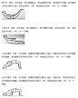 颈腰背部肌肉的锻炼方法_百度经验