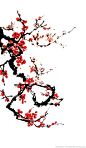 中国风水墨花卉古典背景素材模板PNG免扣透明素材背景