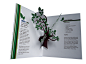 Cadburry Falım Brochure : Pop-up paper brochure for a CSR project. It based on gum trees which only grow in Aegean Sea Islands. Project has two aimes, raising awareness about subject and protecting remaining gum trees.