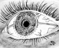 How To Draw An EYE - 40 Amazing Tutorials And Examples - Bored Art