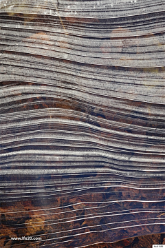 白流苏11采集到小资