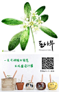 春夏绿色清新自然花卉叶子水彩插画广告海报 
