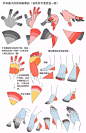 【绘画教程】江川仮名子分享的一些关于绘制手的技巧（人体教程）