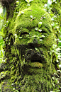 The Moss Man