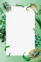 绿色文艺清新花卉边框图片素材- HTML素材网