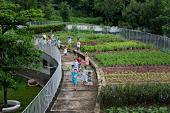 酸黄瓜采集到花园广场