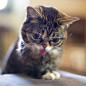 BUB’s really taking this Monday thing to a whole new level. It’s just a joke you goof.