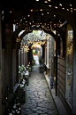 fairy lights | Beautiful Photos 