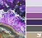 Design Seeds® | find your palette