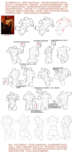 青芒子采集到男动态