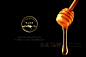 云南昆明雪山蜂蜜logo设计 食品logo设计18925202513 