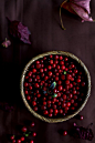 Berries. Love the jewel tones.: 