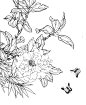 牡丹茶花菊花花卉植物线稿 SAI上色水彩手绘 绘画插画素材XD006-淘宝网