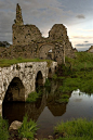 Athassel修道院遗址 爱尔兰 Athassel Priory Ireland (by Scott Johnson)