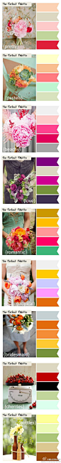 Color Palette