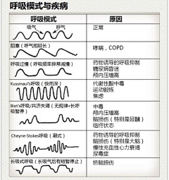 Yeagle采集到医学