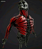 Artificial muscle add on that allows for main muscles to grow on