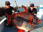 月鱼 Opah fish