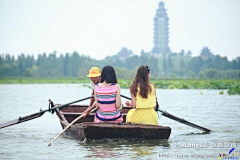 caohuay采集到微山湖，夏日的爱莲说, 