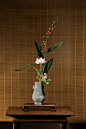 【唯美】中国传统插花艺术欣赏_看图_唯美吧_百度贴吧