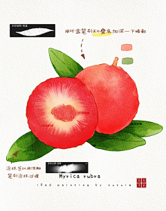 Sakura-Micron采集到花花