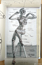 人体动态骨架 来自涂画图画 - 微博