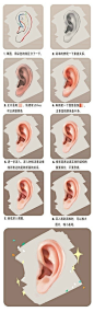 耳朵的画法
#原画教程##插画教程##原画##插画##教程##耳朵#