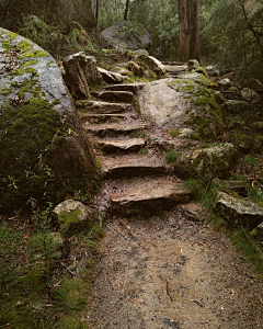 齐烟九点采集到风景